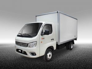 Camion TM2 Cargo Box Foton