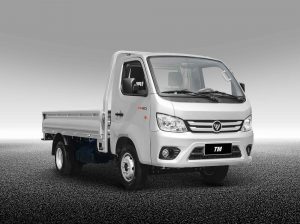 Camion TM2 Cabina Simple Foton