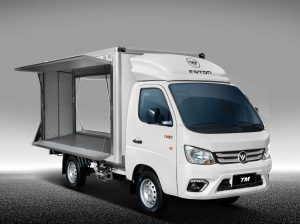 Camion TM2 Ala de gaviota Foton